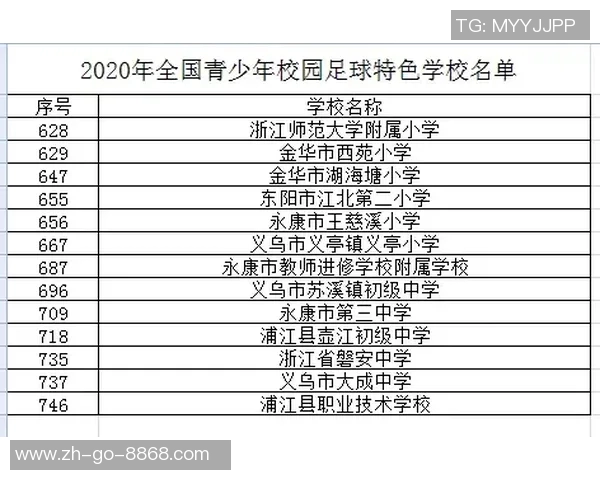 幼儿园足球小球星成长统计表：技术进步与比赛表现全记录